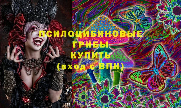 соль ск Наволоки