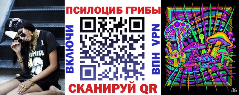 Псилоцибиновые грибы Cubensis  дарк нет наркотические препараты  Тында  купить закладку 